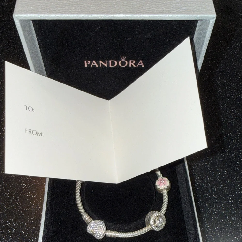 Pandora Silver Bracelet with Pink and Silver Charms Limited Edition - Picture 13 of 14